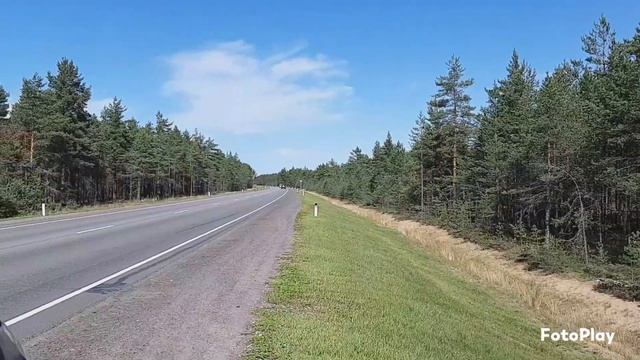 Сясьстрой смотреть онлайн