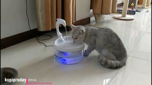 Автоматический фонтан поилка для кошек и собак