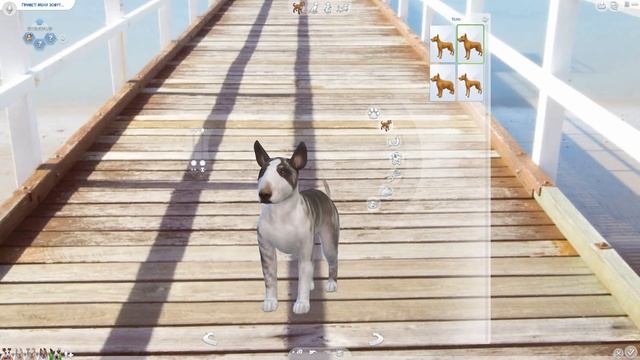 ЧУДО ГЕНЕТИКИ, СЛИШКОМ УГАРНЫЕ СОБАКЕНЫ! - The Sims 4 "Кошки и Собаки" смотреть онлайн