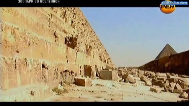 Опыты по скрещиванию человека и животного Подводный человек смотреть онлайн