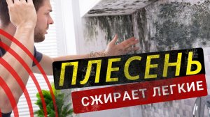 Плесень СЖИРАЕТ ЛЕГКИЕ изнутри. Исправь пока не поздно!