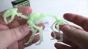 №254 3-D Скелет Саблезубого тигра (Skeleton Saber-toothed tiger)  (XUJA)