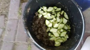 ИНКУБАЦИЯ ЯИЦ МУСКУСНЫХ УТОК.ПЕРЕСЕЛЕНИЕ УТЯТ, УТКА УПАЛА НА НОГИ, БРОЙЛЕР, ИНДЮКИ 23 червня 2020 р
