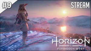 Horizon Forbidden West ► Полное прохождение | стрим #9 | 2K