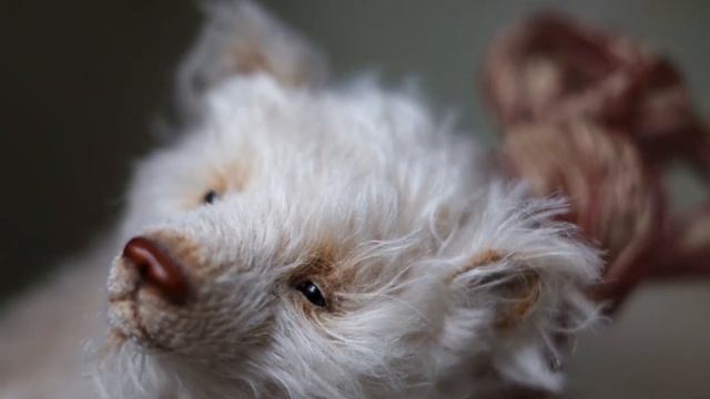 Представление выкройки на teddy bear Анжелики Костин смотреть онлайн