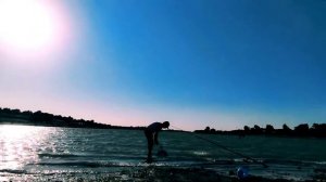 Природа реки Сырдарья || The nature of the Syrdarya river