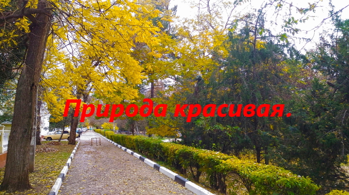 Последний месяц осени в Крыму.