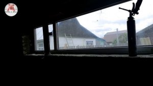 Миллион на свиньях.Глубокая подстилка для свиней . Эксперимент Вега первые результаты.