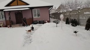 Вот вам и частный дом ?! Чистим снег лопатами! Откуда берутся такие злые люди?