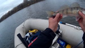 Секреты успешной джиговой ловли. Ловля судака на джиг. Охотники по рыбалке.