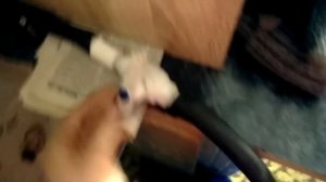 как подключить стиралку автомат без водопровода ? легко и без больших вложений .