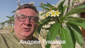 Волшебный аромат плюмерии