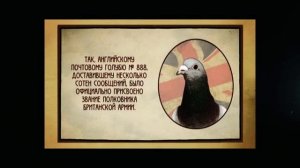 Как голубиная почта изменила мир.