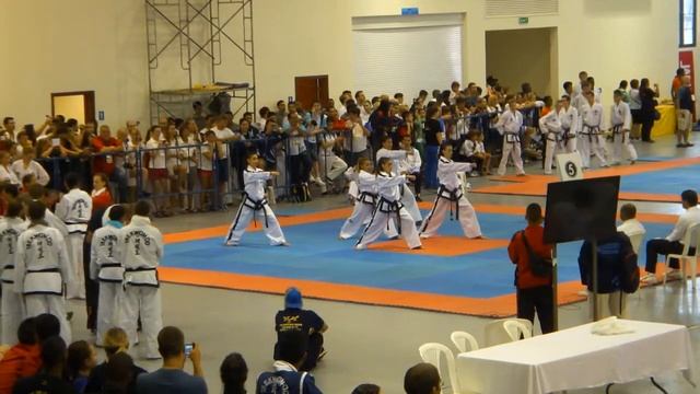 Taekwon-Do ITF World Cup 2014 - Jamaica Team Female Pattern - Formas por Equipo Ge-Baek Tul (1) смотреть онлайн