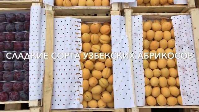 Сорта и польза абрикосов, кураги, косточек. Рецепты и заготовки на зиму варенья компотов и пирогов. смотреть онлайн