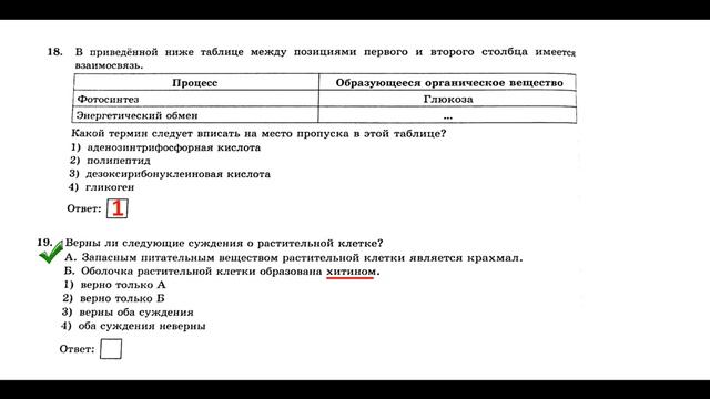 Разбор варианта ОГЭ по биологии 2020 года!