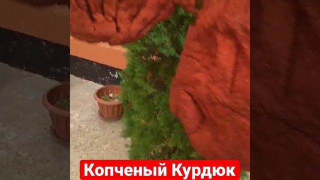 Солёный, Копченый, Курдюк Бараний. Россия, Дагестан. смотреть онлайн