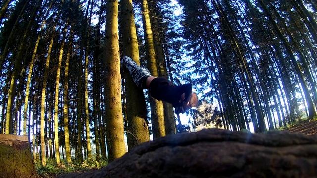 Садоков Игорь\прокачка пресса в лесу смотреть онлайн