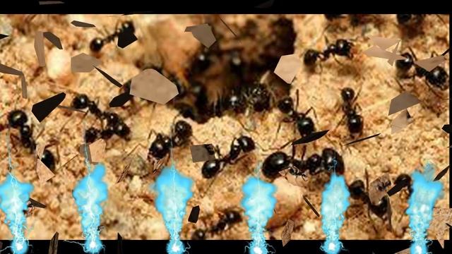 काळ्या मुंग्या आणि लाल मुंग्या शुभ संकेत आणि अशुभ संकेत | Marathi Sakhi смотреть онлайн