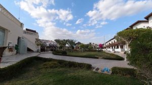 Зима в Дахабе. Январь 2020.