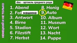 Немецкий язык - Проверь себя!/Существительные среднего рода/НЕМЕЦКИЙ И НЕ ТОЛЬКО