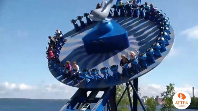 Disk’o Coaster