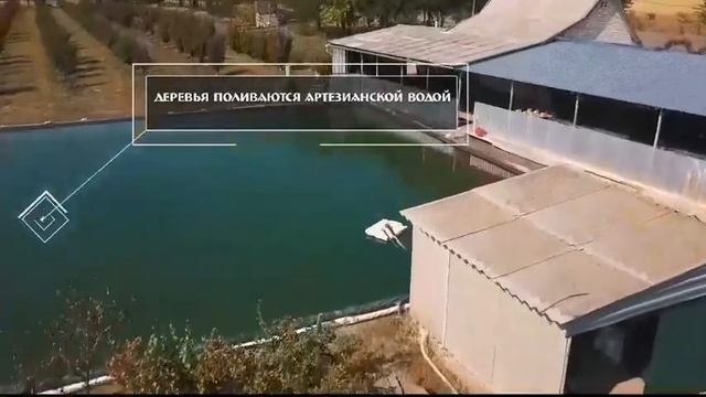 Кизиловый сад смотреть онлайн