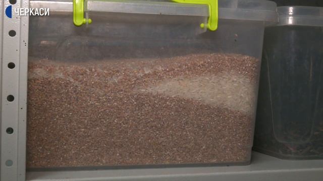 Черкаський зоопарк перейшов на осінньо-зимовий режим роботи смотреть онлайн