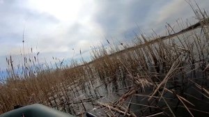 КАРАСЬ В КАМЫШЕ НА БОКОВОЙ КИВОК! ЛОВЛЯ КАРАСЯ ВЕСНОЙ 2021 рыбалка на карася 2021