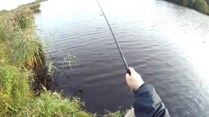КРУТЕЙШИЙ БЮДЖЕТНЫЙ СПИННИНГ НА ОКУНЯ, СУДАКА И ЩУКУ. НОВИНКА ОСЕНИ 2022. Deep от Сезон Рыбалки.