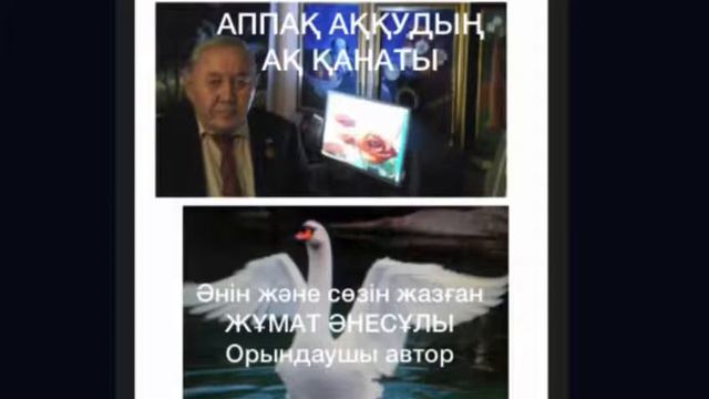 Новая песня мое " АППАҚ АҚҚУДЫҢ АҚ ҚАНАТЫ " Автор песни и слова ЖУМАТ АНЕСУЛЫ поэт, композит слова смотреть онлайн