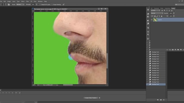 ВЕКТОРНАЯ МАСКАВОЛОСЫ