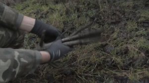 Живой фазан в ловушке! ТОП поймал фазана! Как сделать ловушку на фазана? Охота БЕЗ ружья.