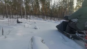 Открытие зимнего сезона по малому снегу на мотобуксировщике Тофалар. Преодоление лесных завалов .