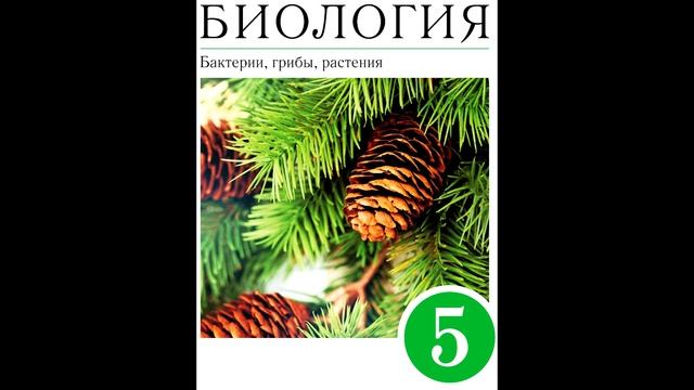 § 11 Строение и жизнедеятельность бактерий