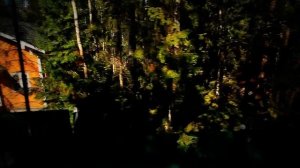 Подмосковье.Коттеджный поселок _Пушкинский лес_