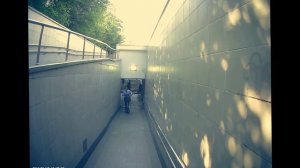 На электросамокате на работу