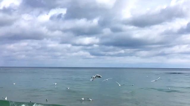 #музыка Андрей Обидин - «О любви поет саксофон»…. #черноеморе #одесса смотреть онлайн