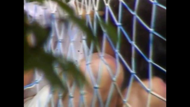 Подопытная свинка: Эксперимент дьявола (Guinea pig: Experiment devil) смотреть онлайн