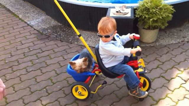 Велосипед трехколесный Puky CAT 1S смотреть онлайн