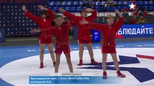 Демо самбо  Школа №85, город Сочи, Краснодарский край