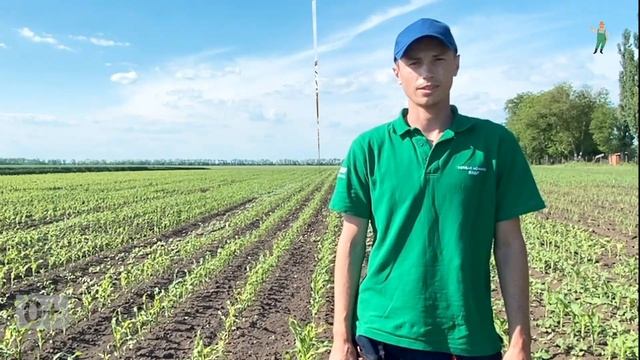 Полевой вестник BASF. Опыт применения СТЕЛЛАР® ПЛЮС в АгроЦентре BASF Краснодар