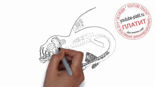 Как нарисовать зубастую мудрую рыбу поэтапно смотреть онлайн