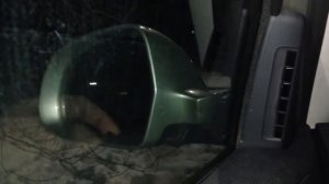 Электрозеркала на морозе octavia fl