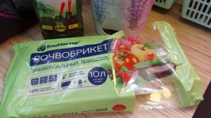 ПРОБУЮ НОВЫЙ ГРУНТ ДЛЯ ВЫСОКОРОСЛОЙ ЭУСТОМЫ ?/МОИ ОШИБКИ В СЕЗОНЕ 2021??♀️?♀️