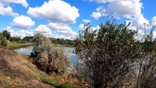 13 извинений, которые вы заслужили, но так и не услышали (и это делает вас сильнее!) смотреть онлайн