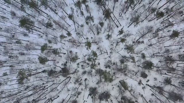 С вышки на кабана. смотреть онлайн