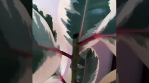 Как обрезать фикус? Черенкование фикуса.Фикус Беллиз