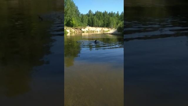 Места добычи мореного дуба. Летняя поездка смотреть онлайн