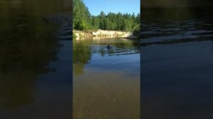 Места добычи мореного дуба. Летняя поездка